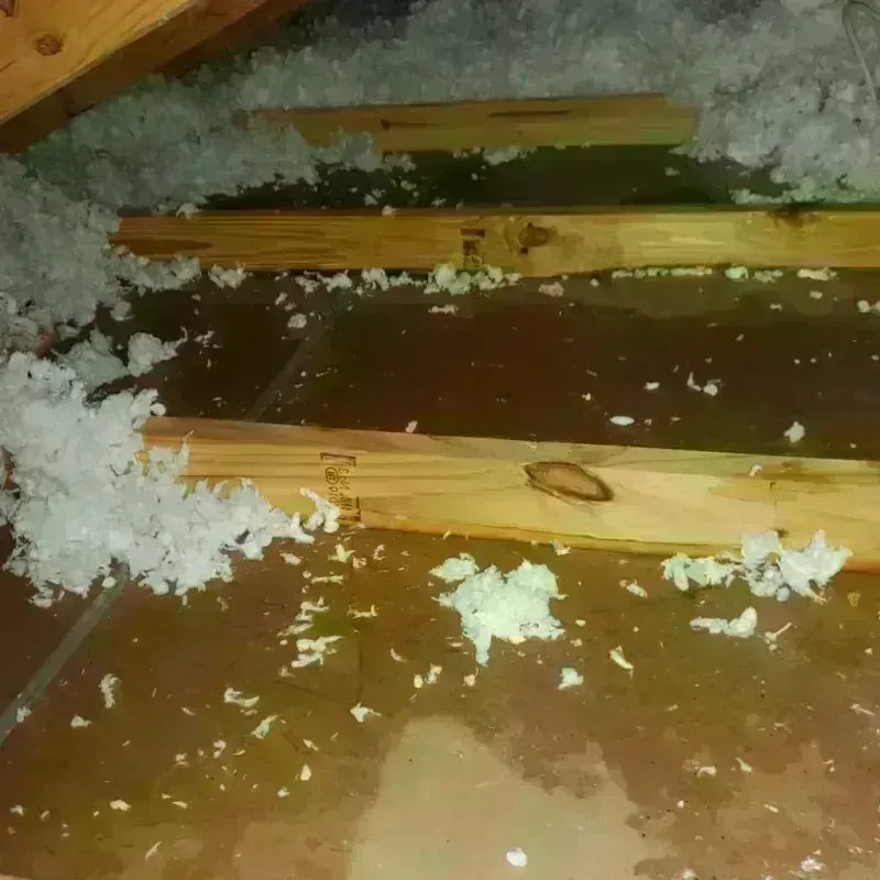 Attic Water Damage in Bloomington, IN