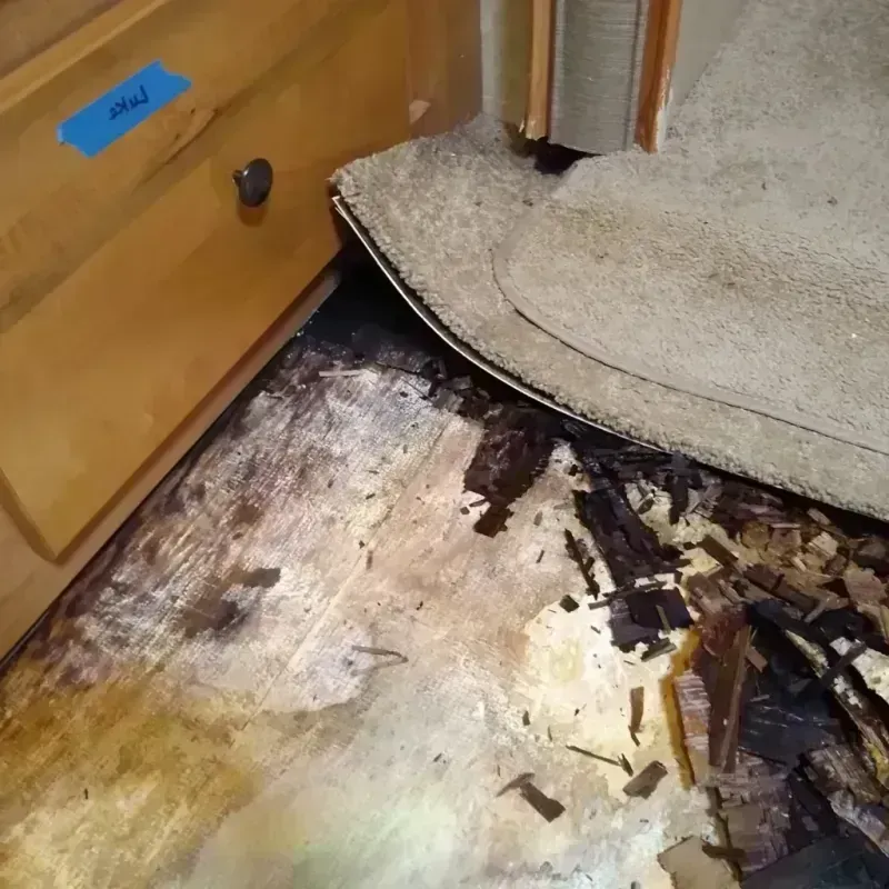 Wood Floor Water Damage in Bloomington, IN